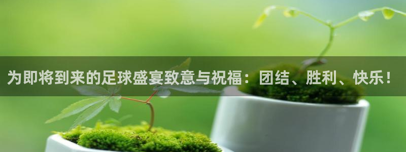 为即将到来的足球盛宴致意与祝福：团结
