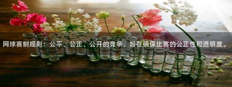 网球赛制规则：公平、公正、公开的竞争