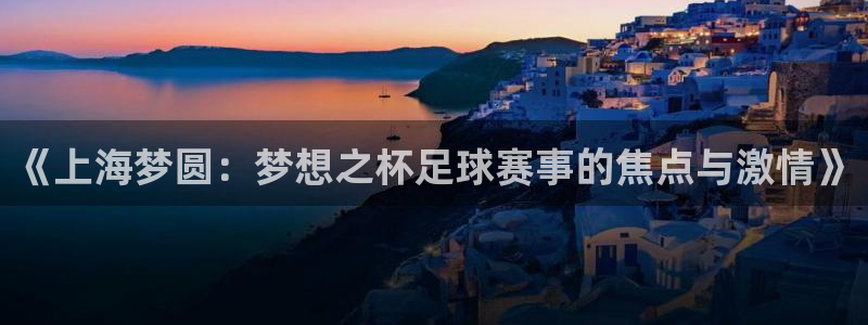 《上海梦圆：梦想之杯足球赛事的焦点与