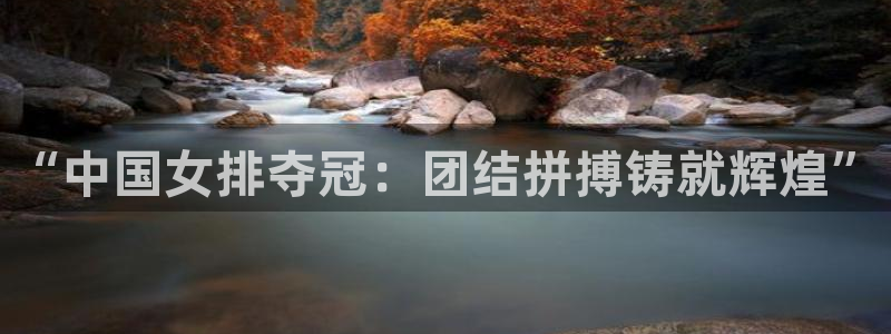 “中国女排夺冠：团结拼搏铸就辉煌”