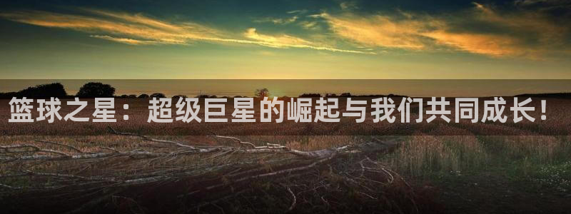 国际米兰体育场：篮球之星：超级巨星的