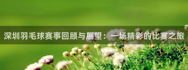 米兰体育俱乐部：深圳羽毛球赛事回顾与