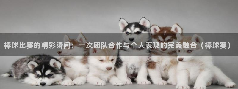 米兰体育场英文翻译：棒球比赛的精彩瞬