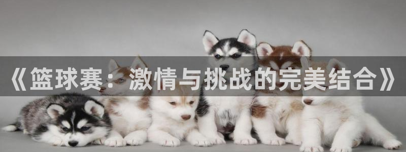 米兰体育：《篮球赛：激情与挑战的完美
