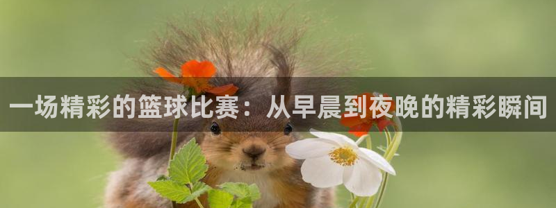 米兰体育下载：一场精彩的篮球比赛：从