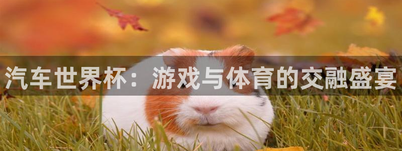 米兰体育集团：汽车世界杯：游戏与体育