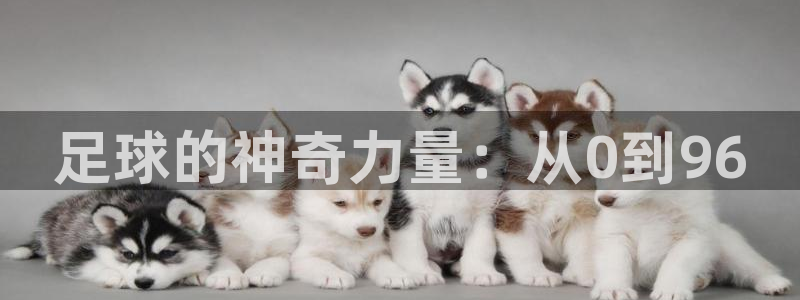 米兰体育经常封号怎么办呢：足球的神奇