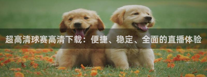 米兰体育极速提款待出款需要多久才能提