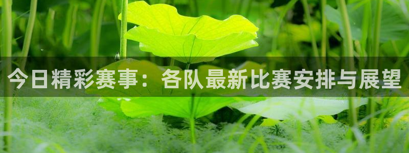 米兰体育入口：今日精彩赛事：各队最新