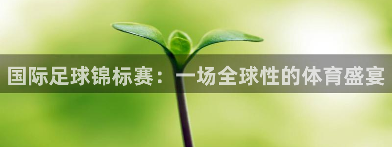 米兰体育进不去怎么办呢：国际足球锦标