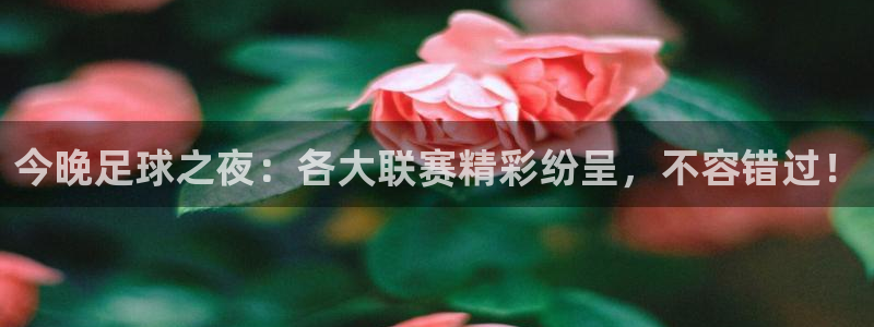 米兰体育报的准确度：今晚足球之夜：各