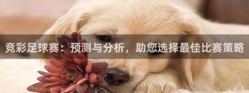 米兰体育报个人画册：竞彩足球赛：预测