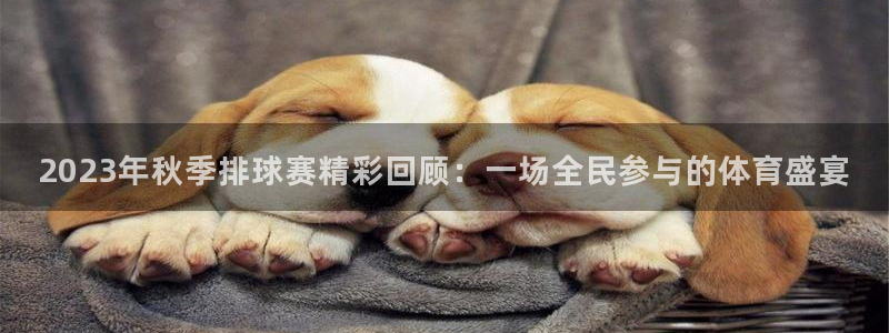北京市米兰体育文化发展有限公司：20
