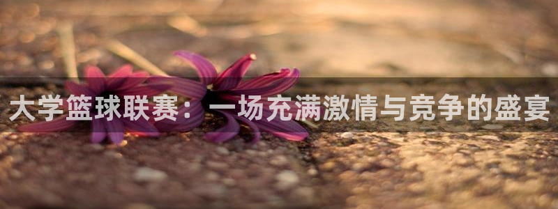  米兰体育报米兰尤文赛后评分：大学篮球联赛：一场充满激情与竞争